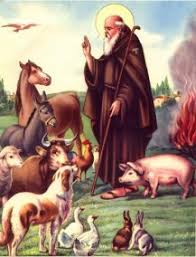 I am patrick peels back centuries of legend and myth to tell the true story of saint patrick. Saints Who Loved Animals Catholic Concern For Animals