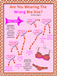 Are You Wearing The Right Bra Size Perfect Bra Fit Bra Sizes Bra Fitting