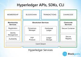 We focus on permissioned private blockchains. What Is Hyperledger The Most Comprehensive Step By Step Guide