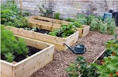 Image result