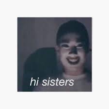 I guess it's normal in this world, but having you as my. James Charles Meme Art Board Prints Redbubble