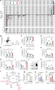 Maybe you would like to learn more about one of these? Improving The Metabolic Fidelity Of Cancer Models With A Physiological Cell Culture Medium Science Advances