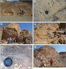 Image result for Beige 1987 UMM