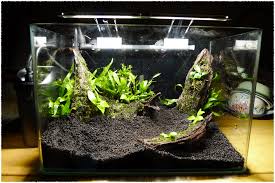 You will find aquascaping design ideas, step by step tutorials and inspiring cinematic videos to get inspiration from. Aquascape Ideas Nano Aquascape Simple