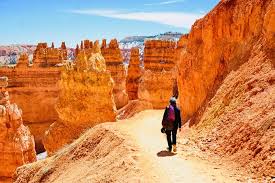 Zion national park and bryce canyon national park are two of america's most popular national parks. Las Vegas To Zion And Bryce Canyon National Parks Group Tour 2021