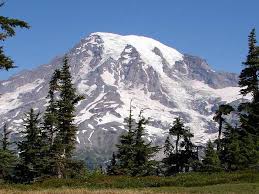 Maybe you would like to learn more about one of these? Ohanapecosh Campground Mount Rainier National Park Recreation Gov