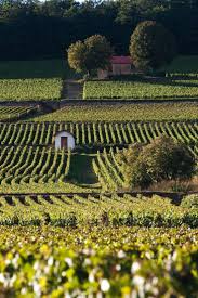 Pin De Jackie En Wine Cheese Paisajes Jardin Secreto Bodegas