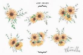 Are you searching for rose transparent clilpart images? Sunflower Watercolor Clipart Painted Floral White Rose Bouquets By Bloomella Thehungryjpeg Com