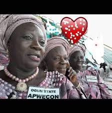 Apwecon Ogun State, Egbe Alaga Ijoko ati Iduro