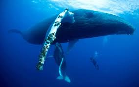 Pin On Sobirateli Chudes Svitova Geografiya World Geographic