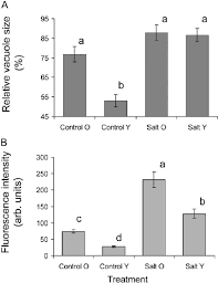 Plant morphology treats both the vegetative structures of plants, as well as the reproductive structures. A Relative Vacuole Volume Percentage Of The Total Cell Volume In Old Download Scientific Diagram