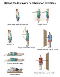 Biceps Tendon Injury Rehabilitation Exercise Bicep Tendonitis Rehabilitation Exercises Bicep Tendonitis Exercises