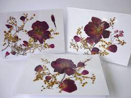 Three or four heavy hardback books. Wedding Invitation Dried Flower Cards Real Flowers Card Pressed Flowers Art Special Card Handmade Un Pressed Flower Art Flower Cards Unique Greeting Cards