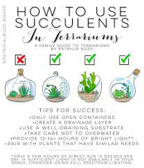 The Key To A Successful Succulent Terrarium Is Primarily The Container You Choose To Use Open Vessels Are The Succulent Terrarium Succulents Miniature Garden