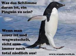Bilder lustige de 1024x768 www litle pups. Die Lustigsten Whatsapp Bilder Zum Verschicken Lustige Bilder Lustig Bilder