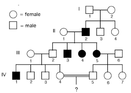 Understanding Pedigrees Grade 9 Genetics For Igcse Biology