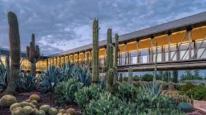 La ventaja principal es que puedes escoger la variedad que desees y recibirla en casa de manera rápida. El Oasis De Cactus Mas Grande De Europa A Un Paso De Madrid Madridiario
