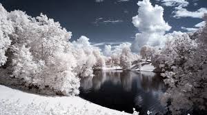 Maybe you would like to learn more about one of these? White Winter Landscape Hd Wallpaper