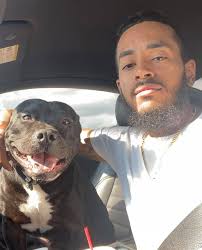 My name is: Blue My breed is: American staffordshire terrier My age is: 1  year & 4 months old My nicknames are: My Baby Blue/ Buddy My favorite  human: The female one