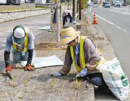 中日新聞Web - News update