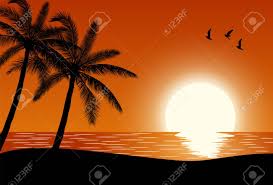 Maybe you would like to learn more about one of these? Silhouette Palm Tree On Beach Under Sunset Sky Background Vector Royalty Free Cliparts Vectors And Stock Illustration Image 100218172