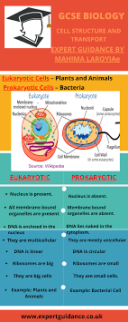 Aqa Gcse Biology Paper 1 B1 Cell Structure And Transport Complete Revision With Notes Q A Vide Biology Prokaryotic Cell Cell Structure