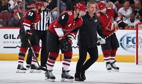 May 22, 2016 · — elina c hjalmarsson (@elinacasell) may 22, 2016 in addition to twitter, hjalmarsson also joined instagram, which you can follow here. Coyotes Defenseman Niklas Hjalmarsson Exits Game With Lower Body Injury