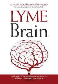 26 Best Lyme Disease Books For Survivors And Allies Anna Penenberg