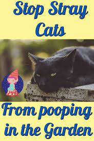 How to keep cats out of my flower garden. How To Keep Cats Out Of The Flower Bed Crafty Little Gnome