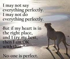 Life is a journey to be experienced, not a problem to be solved.. Nobody S Perfect Perfection Quotes No One Is Perfect Sayings