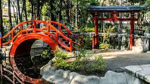 Image result for parque