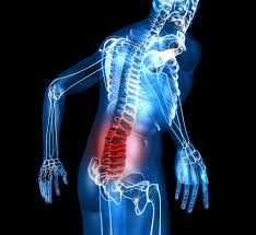 These organs are held together loosely by connecting tissues (mesentery) that allow them to expand and to slide against each other. Lower Back Pain News Videos