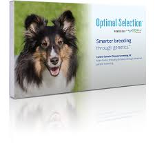 Optimal Selection Canine Genetic Breeding Analysis