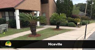 Check spelling or type a new query. Lawn Care Landscaping Services In Niceville Cpm Lawn Care