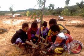 Adapun rencana penyusunan koleksinya adalah berdasarkan biogeographic region, yang meliputi Kebun Raya Batam Ditanami 2017 Bibit Antara News Kepulauan Riau Berita Kepulauan Riau Terkini