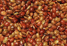 Image result for Macrotyloma uniflorum