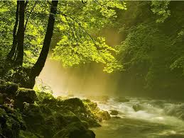 I Think I See Frodo Natur Ikea Hot Dog Landschaft