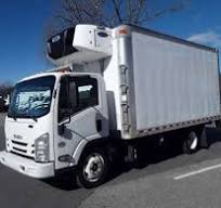 Isuzu Reefer/refrigerated Truck For Sale - Commercial Truck ...