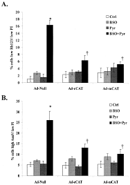 Install on your computer from the usmle website. Toxicity By Pyruvate In Hepg2 Cells Depleted Of Glutathione Role Of Mitochondria Sciencedirect