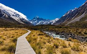 See wildlife at 487 places around new zealand. Languishing Jobs For Nature Fund Process Leaves Tourism Operator Fearful Rnz News