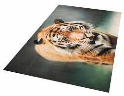 Teppich tiger von little cabari zum verkauf auf etoffe.com. Teppich Tiger Hanse Home Rechteckig Hohe 6 Mm Wohnzimmer Online Kaufen Otto