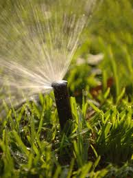 Harvesting crops will keep you busy this month. Garden Help September Is Time To Get Out Into Yard