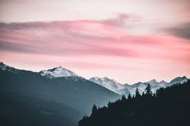10 000 Best Desktop Backgrounds Photos 100 Free Download Pexels Stock Photos You can also upload and share your favorite nice desktop backgrounds.