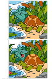find 12 differences between pictures of turtle puzzle puzzle game find the difference pictures pictures of turtles free printable puzzles