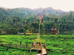 Hal ini ditujukan untuk mengoptimalkan pembatasan kegiatan masyarakat. Kebun Teh Gunung Gambir Picture Of Jember East Java Tripadvisor