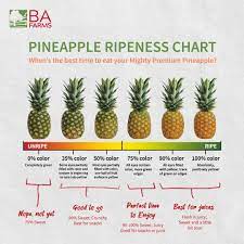 Ba Farms When S The Best Time To Eat Your Mighty Premium Pineapples Md2 Let Us Help You Check The Color As A General Rule The More Golden Yellow A Pineapple S