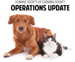 The only way to know for certain is to contact the specific shelter that you're. Humane Society Of Catawba County