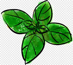 Download transparent leaf png for free on pngkey.com. Mint Computer File Drawing Mint Leaves Watercolor Leaves Leaf Plant Stem Png Pngwing