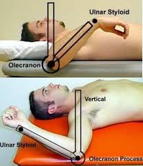 Image result for Shoulder Range of Motion Exercises