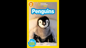 This species of penguin lives along the rocky coastline of southwest africa, in the countries of south africa and namibia. National Geographic Kids Penguins Read Aloud Youtube
